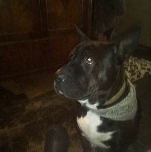 Meet your Posher, Jayne